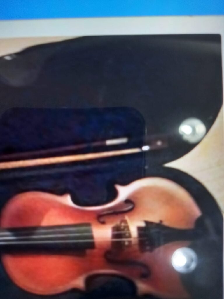 Violino vivace 34 com case , estado de novo R$450 reais