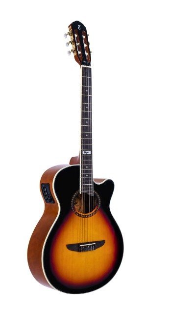 Violão Tagima Vegas