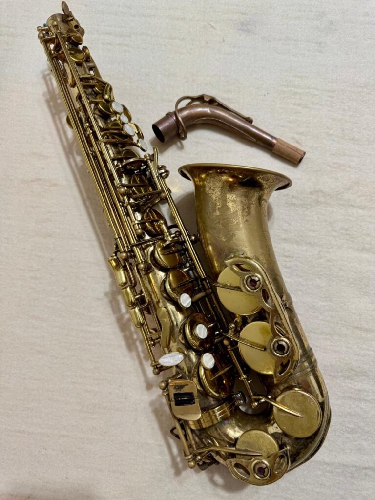 Saxofone Alto Stagg