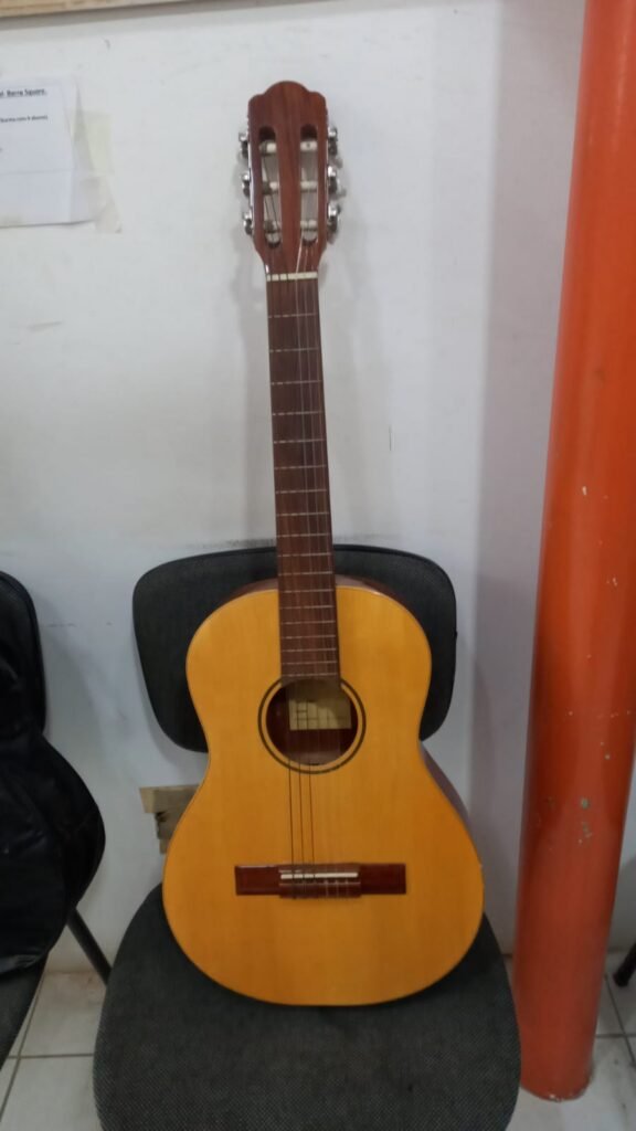 Viola Di Giorgio Piccolo com Capa Original