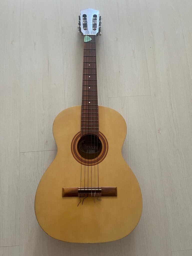 Violão Giannini Trovador Usado com Capa